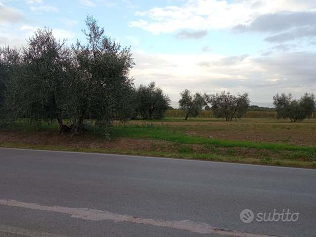 Terreno edificabile e agricolo