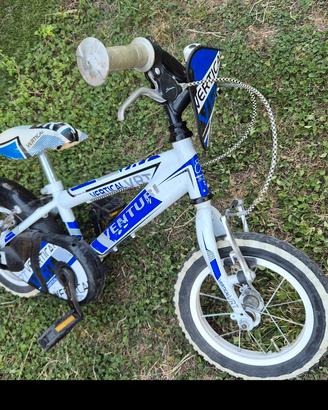 bicicletta bambino 12 pollici diametro ruota 30cm