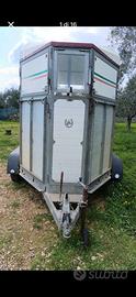 trailer per cavalli 