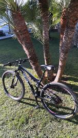 Specialized Carbon Epic comp fsr