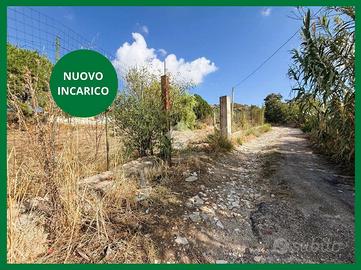 TER. AGRICOLO A BAGHERIA