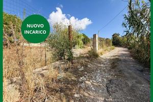 TER. AGRICOLO A BAGHERIA