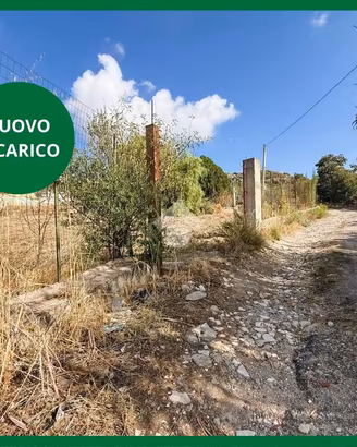 TER. AGRICOLO A BAGHERIA