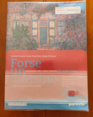 Libro Forse un Mattino Narrativa Liceo Artistico