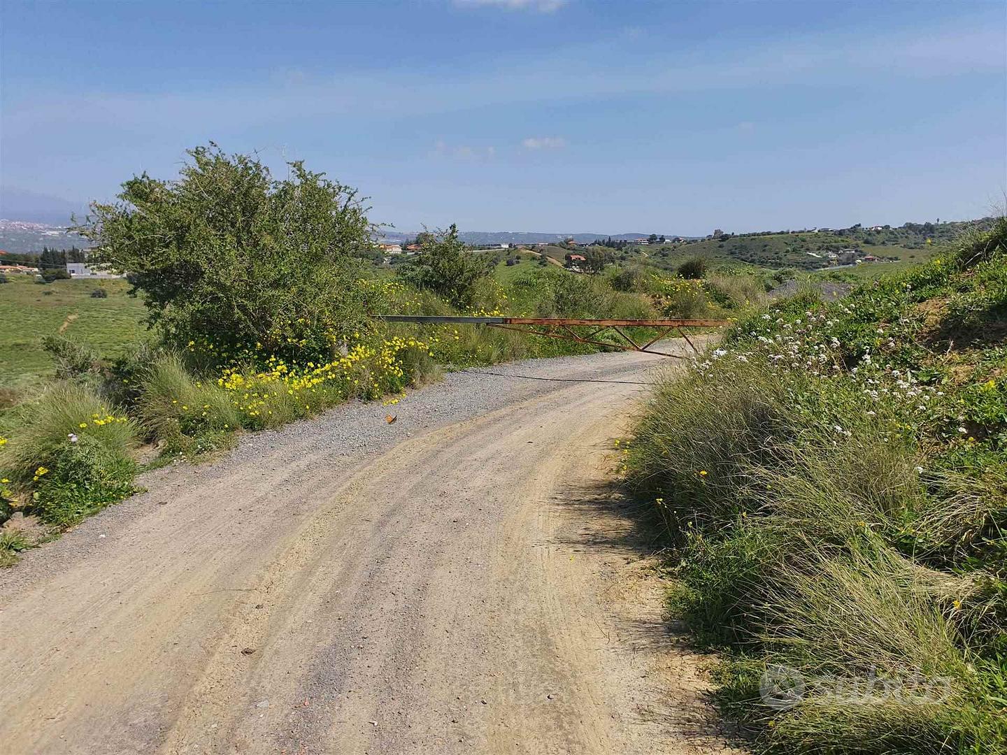Rif.CG14| terreno agricolo motta sant'anastasia - Vista 3