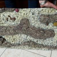 Sfondo di pietra per acquario