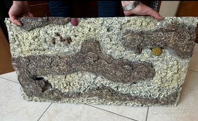 Sfondo di pietra per acquario