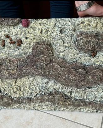 Sfondo di pietra per acquario