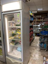 frigo per gelati e surgelati