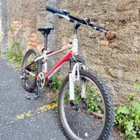 Mountain Bike 20 pollici per bimbi (6-9 anni)