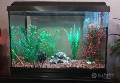 Acquario juwel 70 litri con accessori 