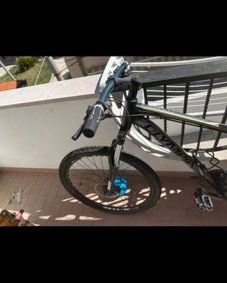 Bicicletta Cobra 