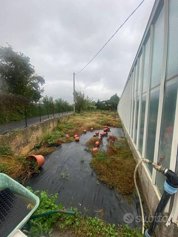 Terreno di 3910 m² a Albenga - Altro