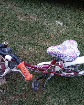 Bici Bambina 5 anni