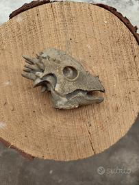 Decorazione a forma di teschio di drago - Resina e