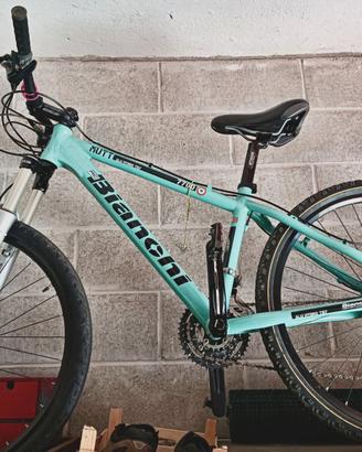 Mountain Bike Bianchi