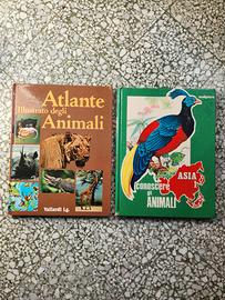 Atlante illustrato degli animali del mondo