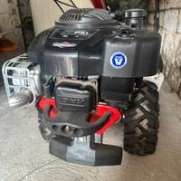 Motrice Taglio prati in pendenza, rotofalce, bcs