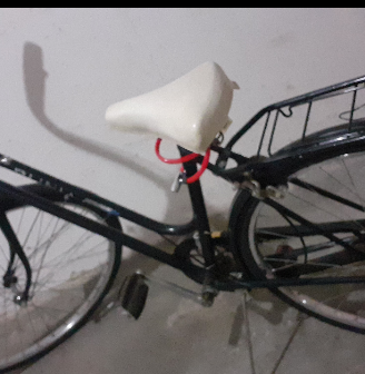 Bici classica da donna