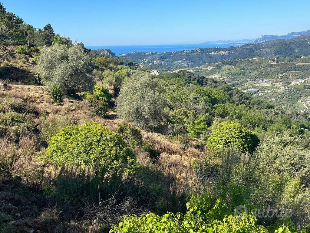 Terreno di 4000 m² a Vallebona - Altro