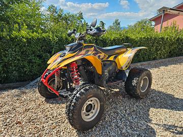 POLARIS TRAILBLAZER 250 2T 2003