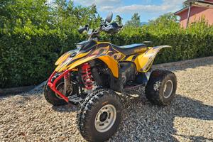 POLARIS TRAILBLAZER 250 2T 2003