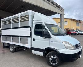 Iveco Daily 35C18 3.0 180cv trasporto animali pate
