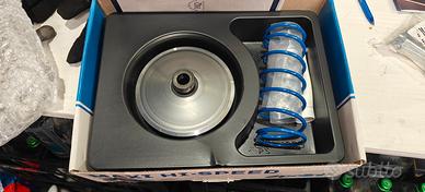 Variatore Polini pcx125 2010/2017