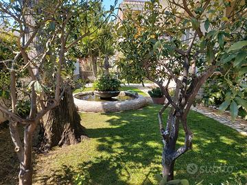 PRIMA QUINDICINA AGOSTO in CENTRO 50mt dal MARE