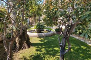 PRIMA QUINDICINA AGOSTO in CENTRO 50mt dal MARE