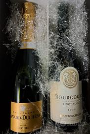 Bottiglie altissima qualita