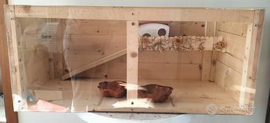 Teca criceto criceti casetta truciolato ruota