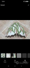 applique 