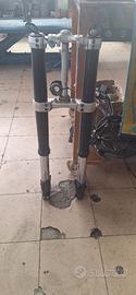 Forcella compl triunph tiger 900 pro 2020