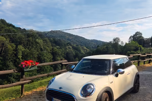 Mini One D 
