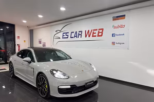 Porsche PANAMERA 4 2.9 E-Hybrid PHEV auto 330 cv
