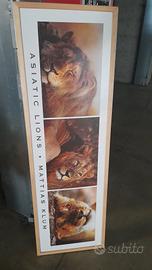 Cornice Ikea Ugglarp Leoni asiatici