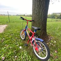 Bici da bambino