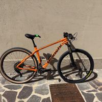 Bianchi methanol 29.5