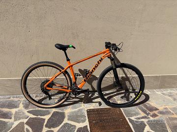 Bianchi methanol 29.5