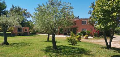 Capo comino 2 km dal mare agosto disponibile