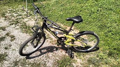biciclette 