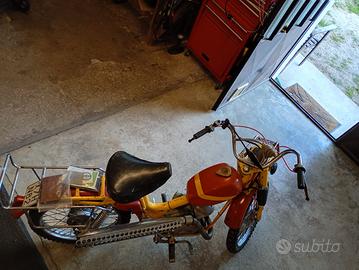 testi 50 telaio conservato