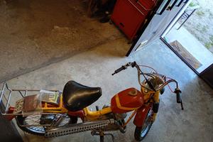 testi 50 telaio conservato