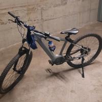 bici elettrica 