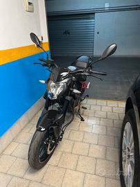 Benelli BN 125 - 2022