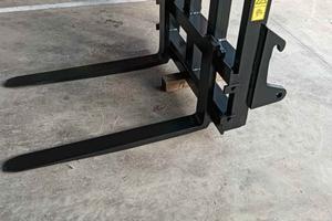 forca argnani e Monti 