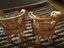 Immagine 6