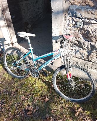 bicicletta 