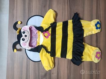 vestito Ape carnevale 